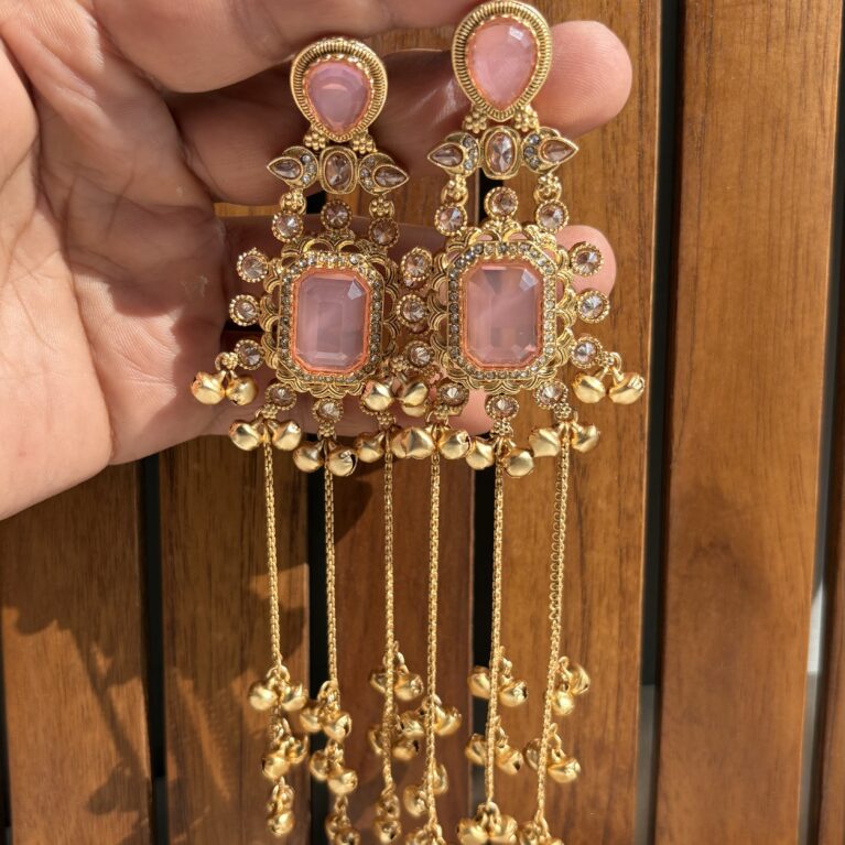 Kasmiri long earrings